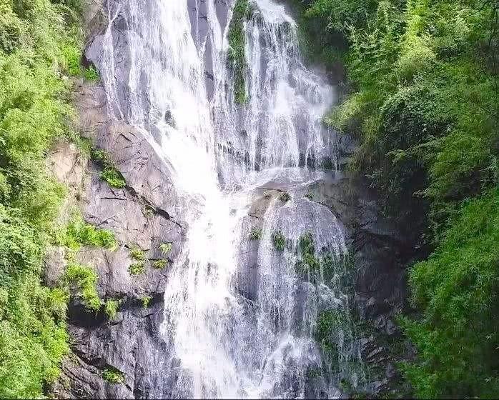 河南鹤壁:浓情腊八节 暖心又“粥”到